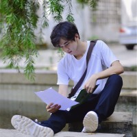 Duc Anh Ta