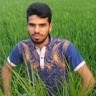 H.M Sayeed Taltoli
