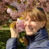 Anne Frese Stølting