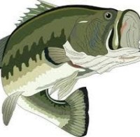 Bassmaster Kaleb