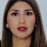 Evelin Perez Ortuño
