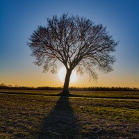 Michael Cruickshanks