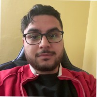 Malik Ziq