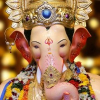 CANN NAGESH SHINGE