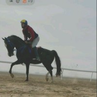 Mo Eraky