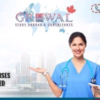 Grewal Study Abroad Consultants