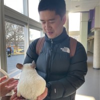 Daniel Ye