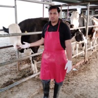 Dr Muhammad Shafiq
