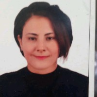 Ola Hassan