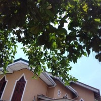 Galle Paradise Inn