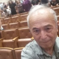 Mehmet Emin Özel
