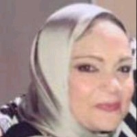 Mona Amer