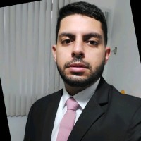 Mário Henrique Caneda De Mendonça