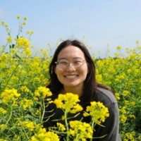 Diane Hwang