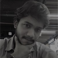 Vignesh N S