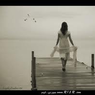 sameh ammar