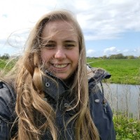 Dorien Van Der Bent