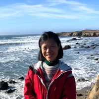 Jo-Ann Wang