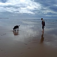 Roberto Rodríguez Castro