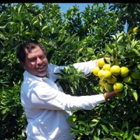 João Henrique Barbero