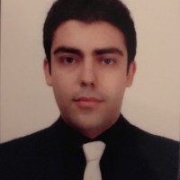 Ashkan Goodarzi