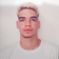 Leonardo S Ribeiro