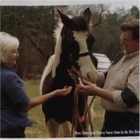 Steve And Nancy Smith