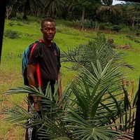 Saah Musah