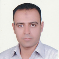 amr ibrahim