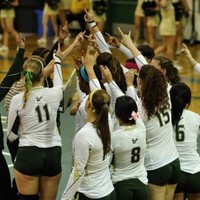 USF Volleyball