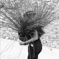 Mathilde Plet