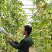 VENKATA SAI ABHILASH J.