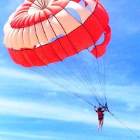 Xue Li (Shirley) Teo