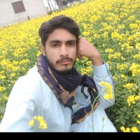 Abdul Basit