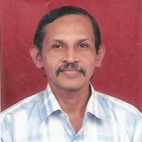 Jayaraman K