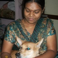 Madhu Mathi