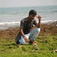 Vinesh Donaka