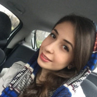 Mehrnaz Famini