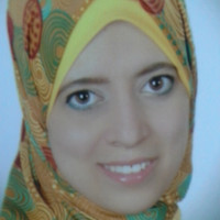 Nesreen Amin