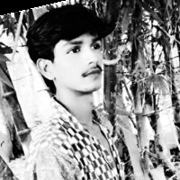 Rohit Mehera