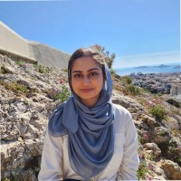 Areeba Anam