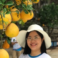 Ngoc Hue Nguyen