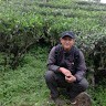 Sawung Galih