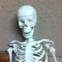 Héctor Danilo Barrios C