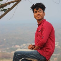 Rajib Kar