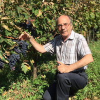franco caruso