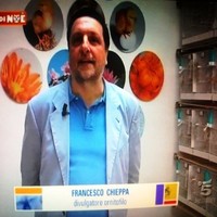 Francesco Chieppa