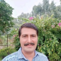 Rana Rizwan Ali