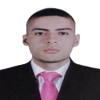 Diego Fernando Sarmiento Garcia