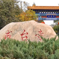 张立江